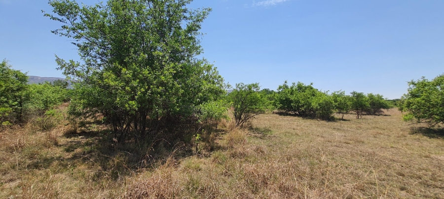 Commercial Property for Sale in La Camargue Private Country Estate North West